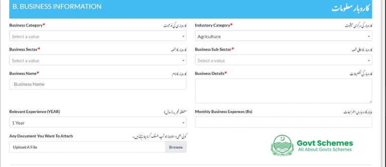 prime minister youth loan